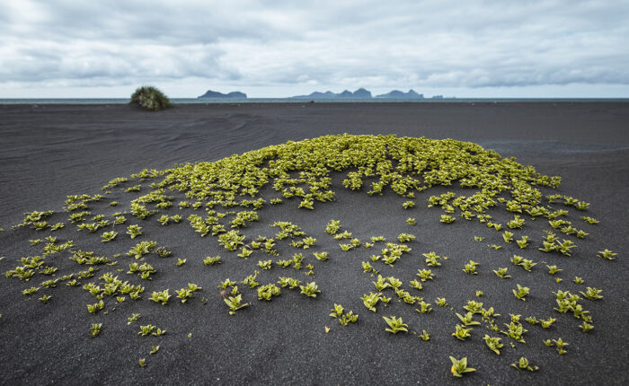 Dramatic volcanic landscape in Iceland showing why the country is famous for its unique geology
