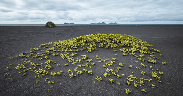 Dramatic volcanic landscape in Iceland showing why the country is famous for its unique geology